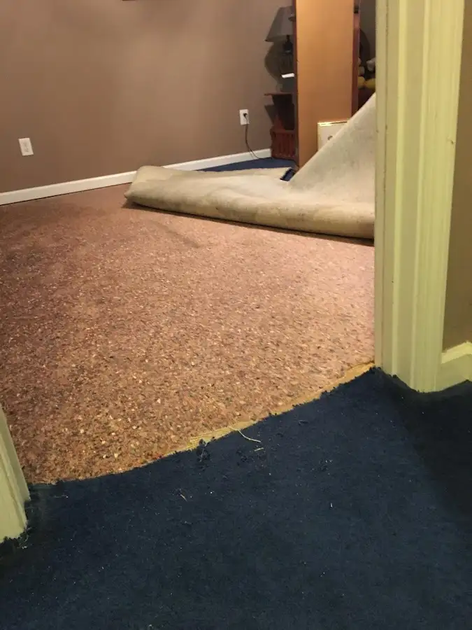 Carpet pad removal revealing water damage during Water Mitigation Services in La Feria