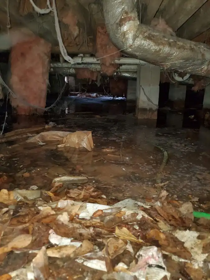 Crawl space flood assessment for Leak Detection & Repair in La Feria
